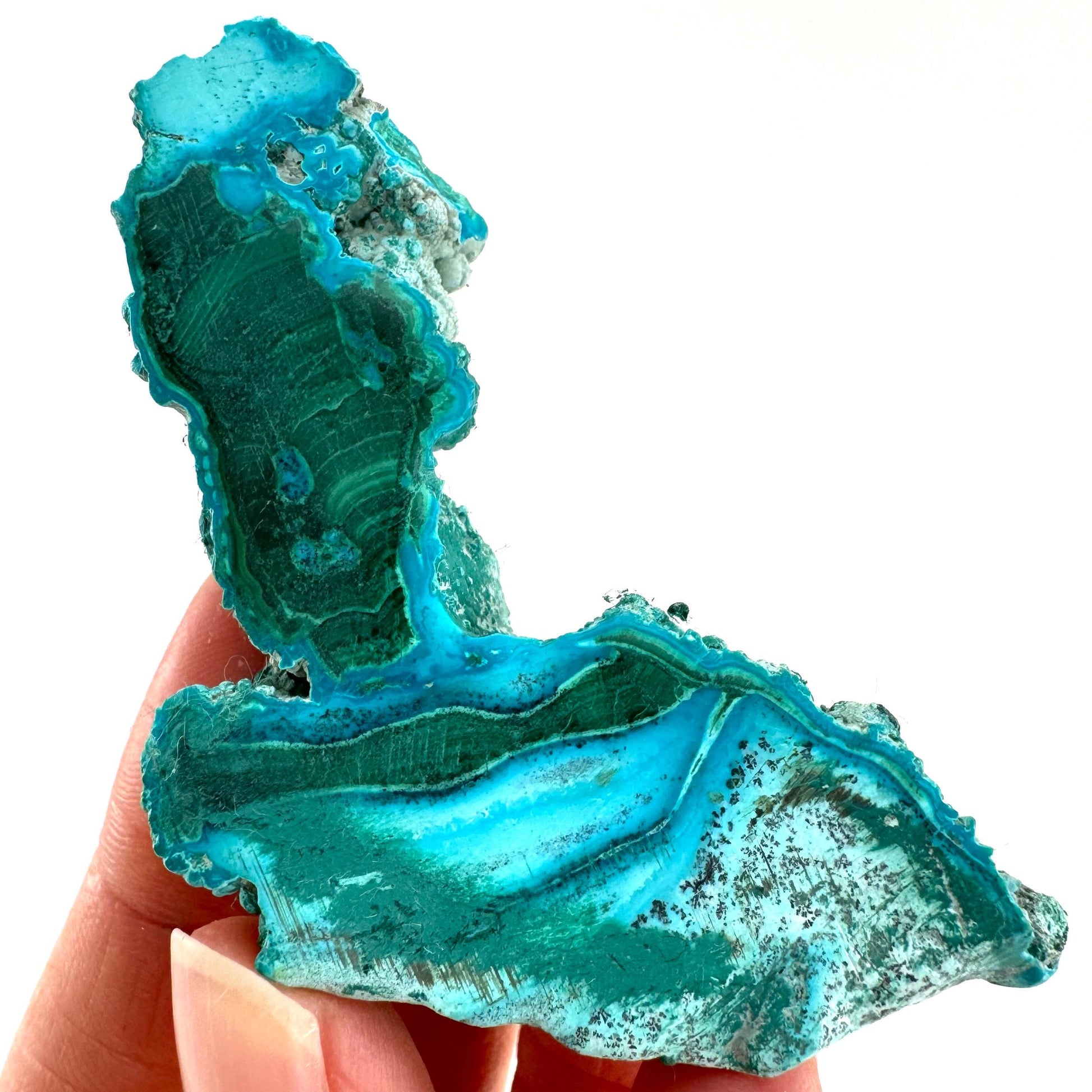 Malachite & Chrysocolla Slice (Congo), natural malachite, malachite slice, malachite slab, malacolla slice, polished malachite