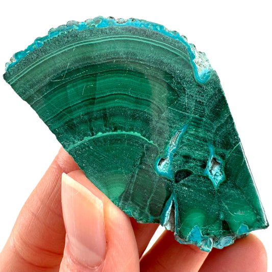 Malachite & Chrysocolla Slice (Congo), natural malachite, malachite slice, malachite slab, malacolla slice, polished malachite