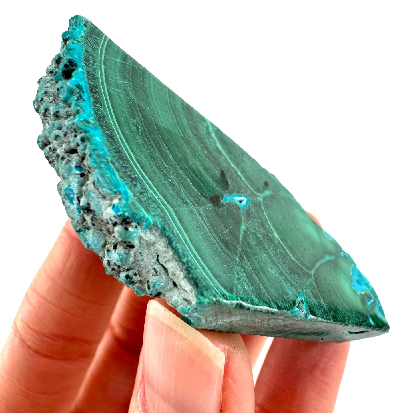 Malachite & Chrysocolla Slice (Congo), natural malachite, malachite slice, malachite slab, malacolla slice, polished malachite