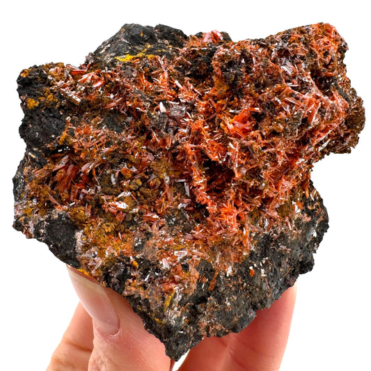 Crocoite Specimen (Australia), raw crocoite, crocoite crystal, orange crocoite, mineral specimen, rare minerals