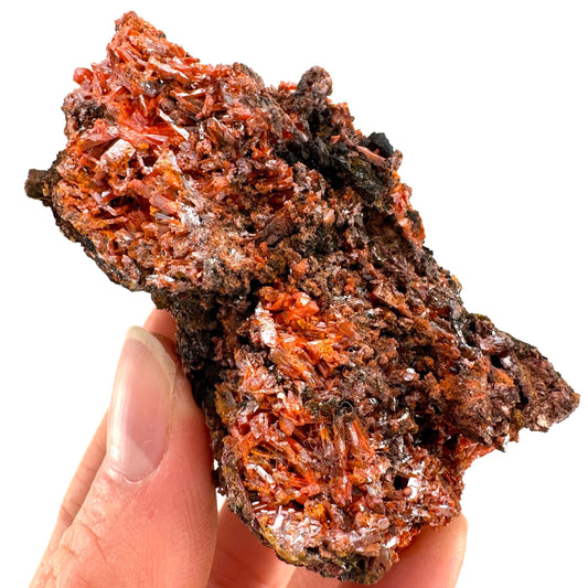 Crocoite Specimen (Australia), raw crocoite, crocoite crystal, orange crocoite, mineral specimen, rare minerals