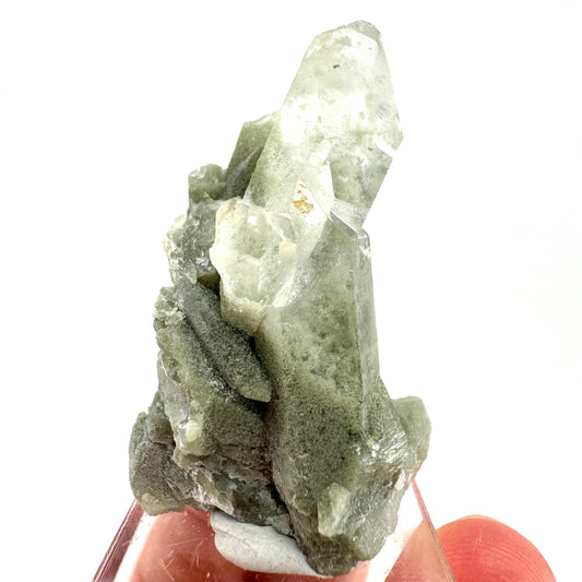 Chlorite Quartz (Pakistan) | green phantom quartz crystal, green chlorite quartz, mineral specimen