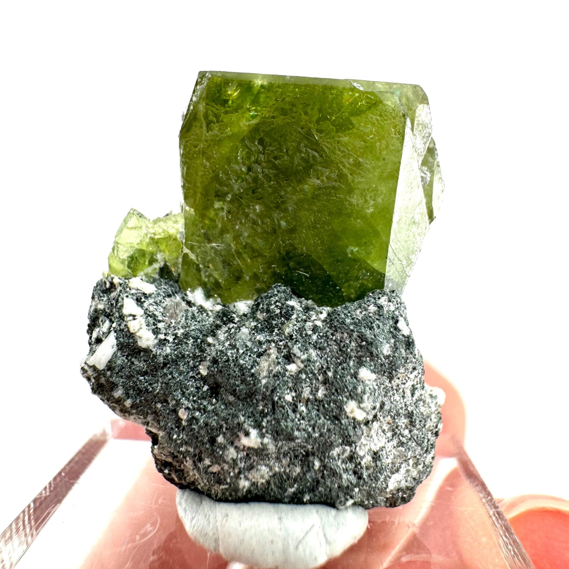 Titanite with Chlorite on Matrix (Pakistan) | sphene titanite, titanite crystal, sphene crystal, rare minerals