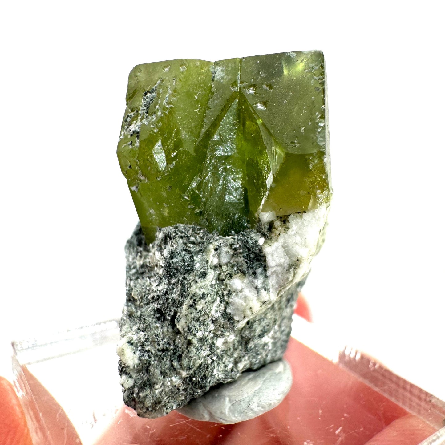 Titanite with Chlorite on Matrix (Pakistan) | sphene titanite, titanite crystal, sphene crystal, rare minerals