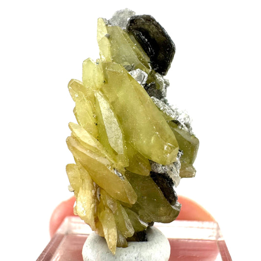 Titanite Specimen (Pakistan) | sphene titanite, titanite crystal, sphene crystal, rare minerals