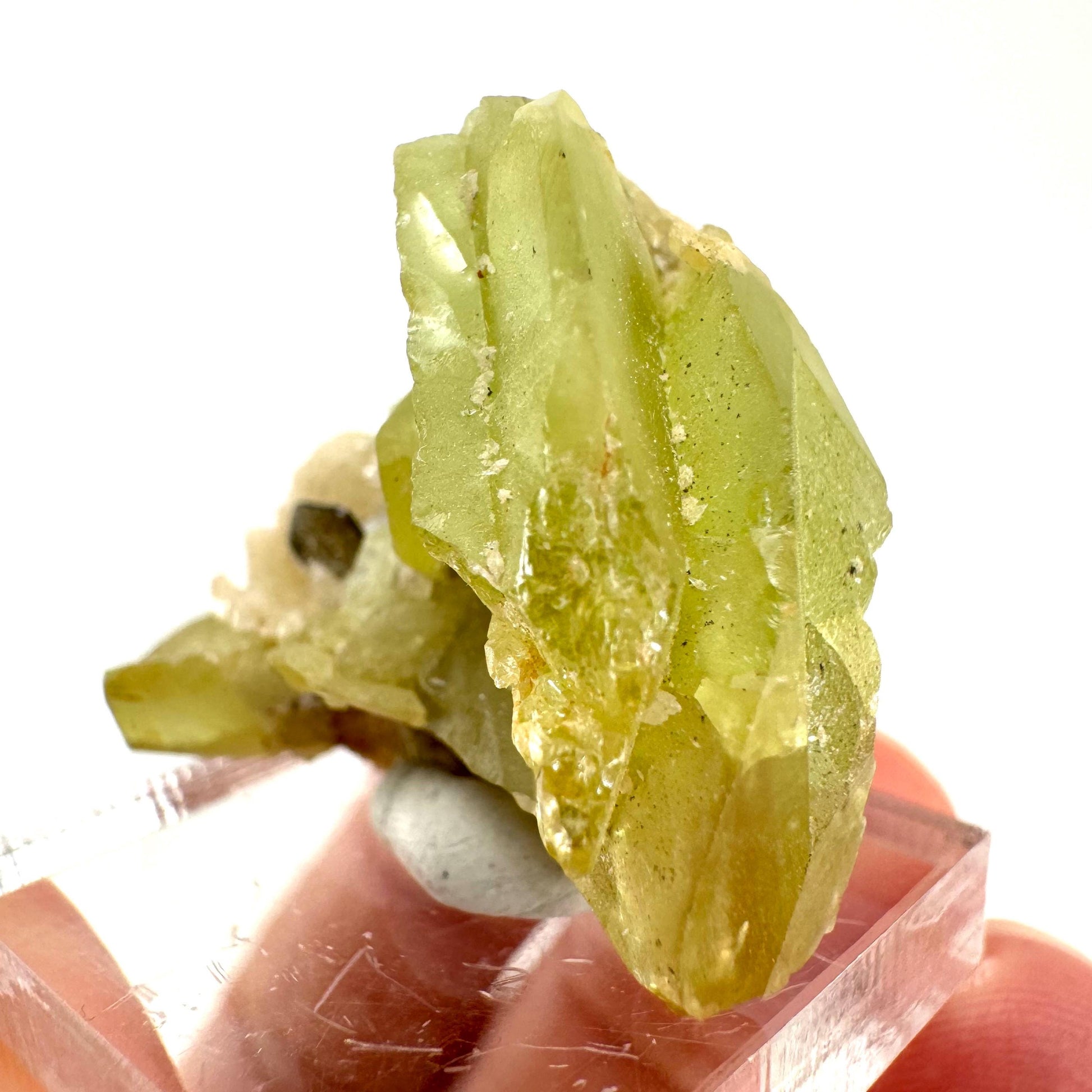 Titanite Specimen (Pakistan) | sphene titanite, titanite crystal, sphene crystal, rare minerals