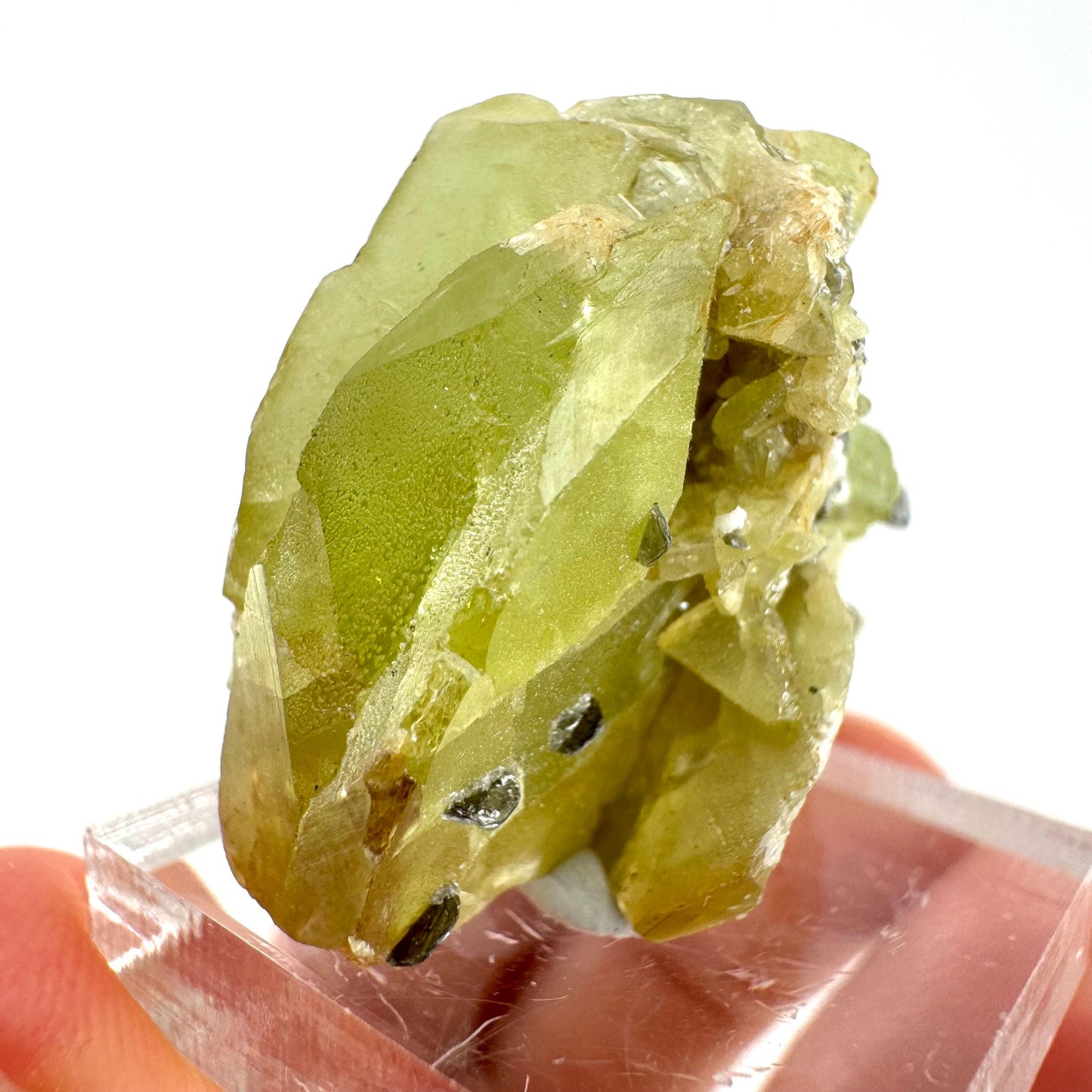 Titanite Specimen (Pakistan) | sphene titanite, titanite crystal, sphene crystal, rare minerals
