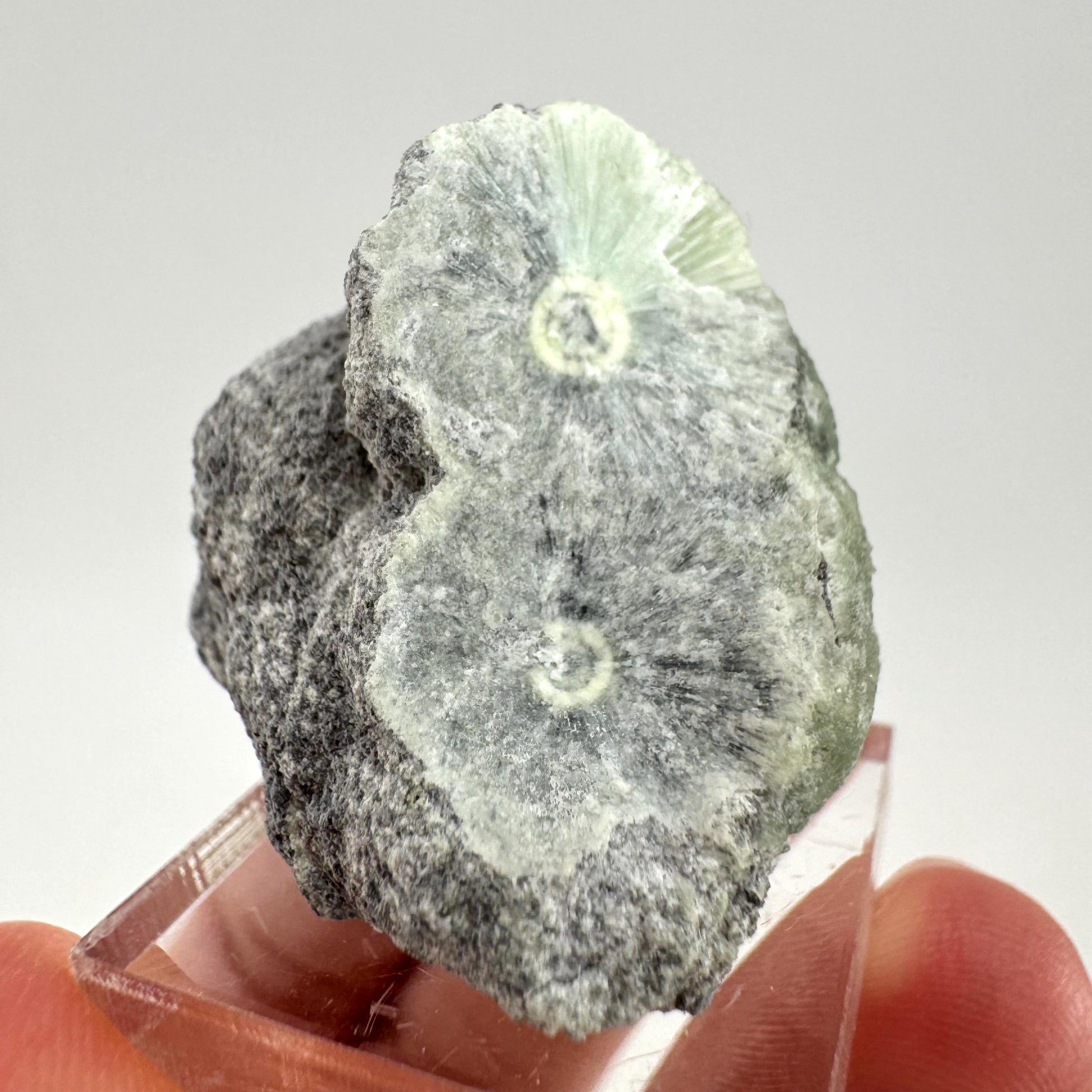Wavellite (Arkansas, USA) | Wavellite crystal, wavellite cluster, mineral specimen, crystals