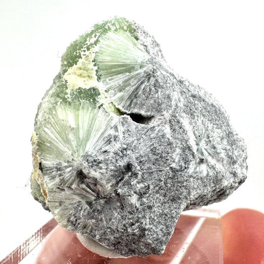 Wavellite (Arkansas, USA) | Wavellite crystal, wavellite cluster, mineral specimen, crystals