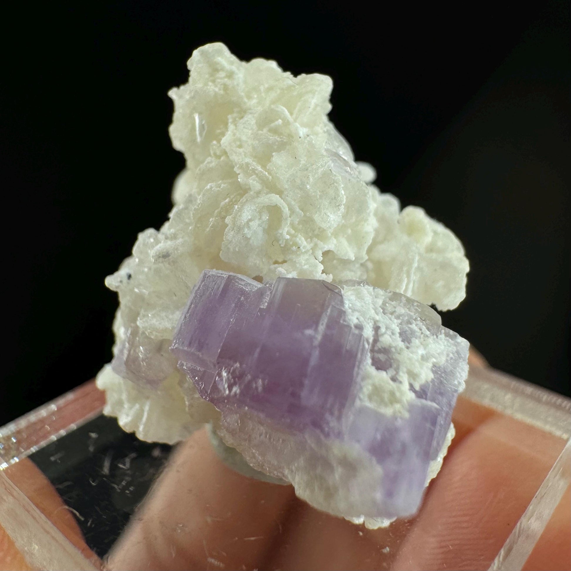 Purple Fluorapatite w/ Albite (Afghanistan) | fluorapatite crystal, natural purple apatite, mineral specimen