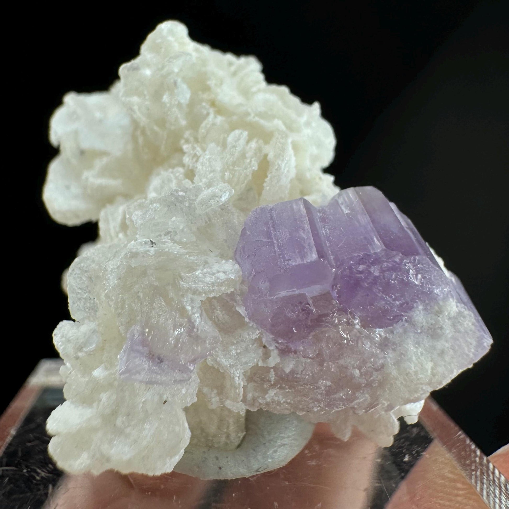 Purple Fluorapatite w/ Albite (Afghanistan) | fluorapatite crystal, natural purple apatite, mineral specimen