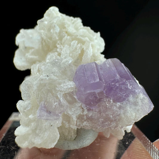 Purple Fluorapatite w/ Albite (Afghanistan) | fluorapatite crystal, natural purple apatite, mineral specimen