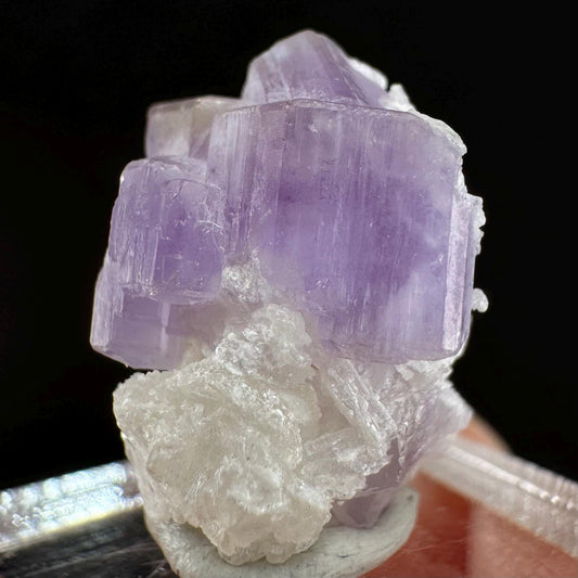Purple Fluorapatite w/ Albite (Afghanistan) | fluorapatite crystal, natural purple apatite, mineral specimen