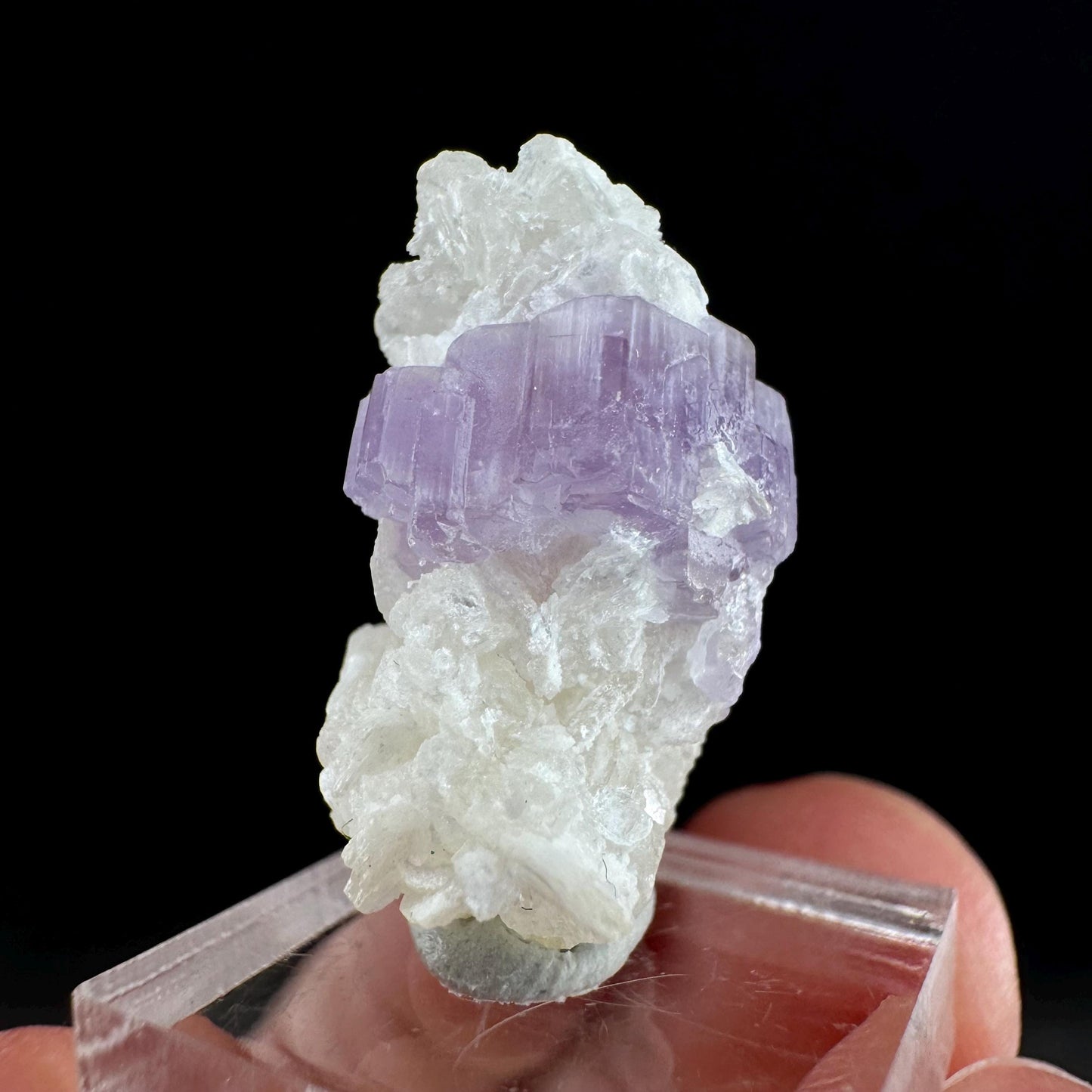 Purple Fluorapatite w/ Albite (Afghanistan) | fluorapatite crystal, natural purple apatite, mineral specimen