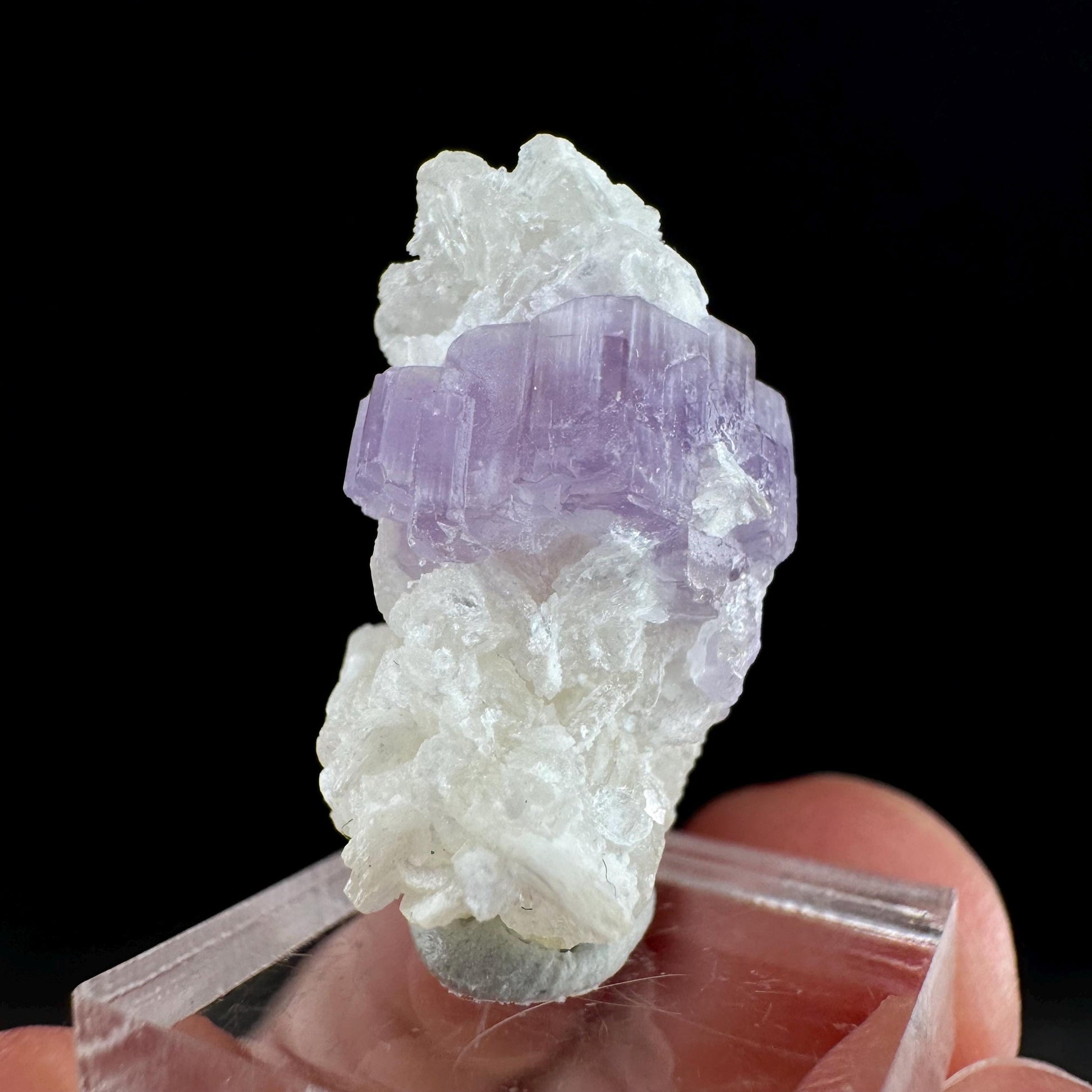 Purple Fluorapatite w/ Albite (Afghanistan) | fluorapatite crystal, natural purple apatite, mineral specimen
