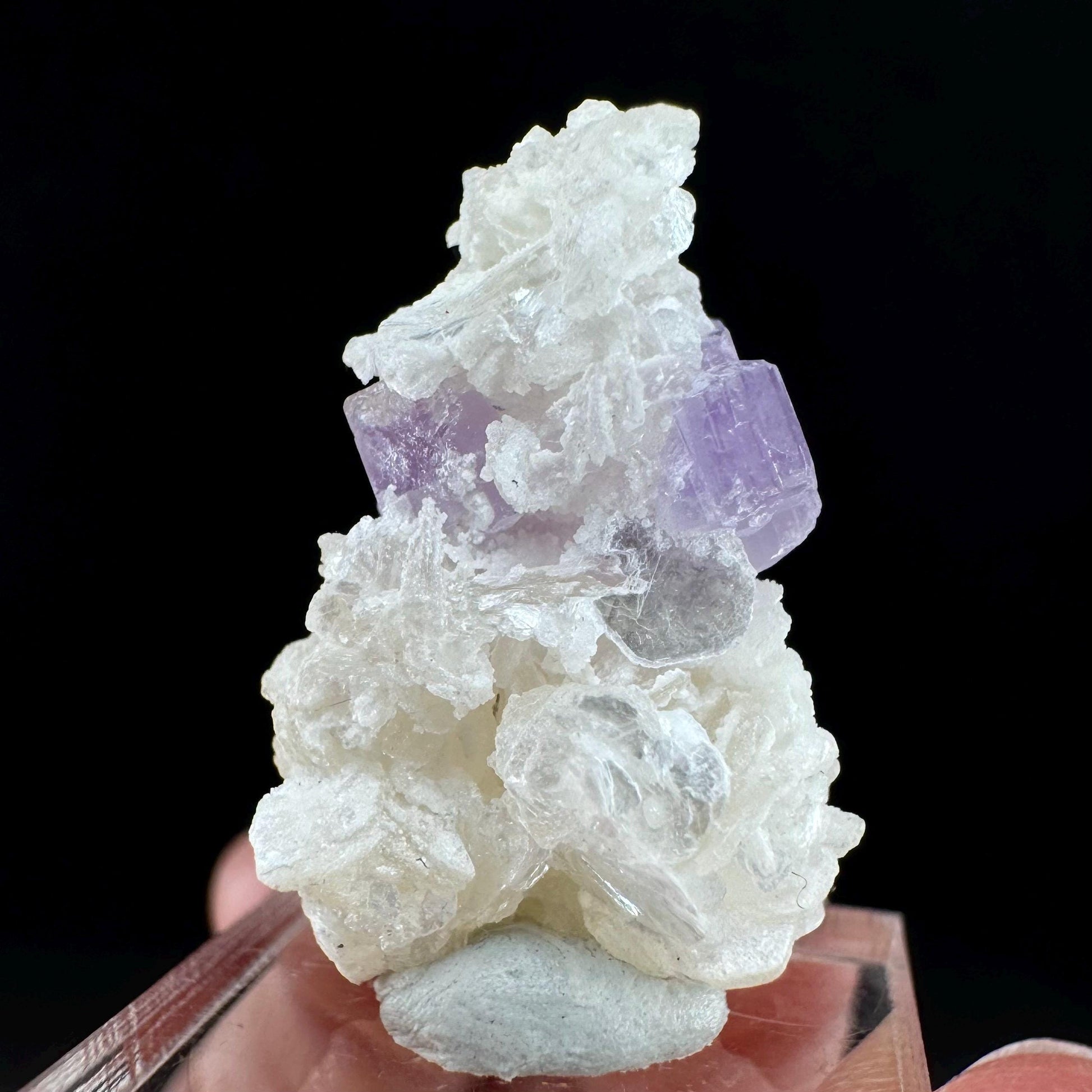 Purple Fluorapatite w/ Albite (Afghanistan) | fluorapatite crystal, natural purple apatite, mineral specimen