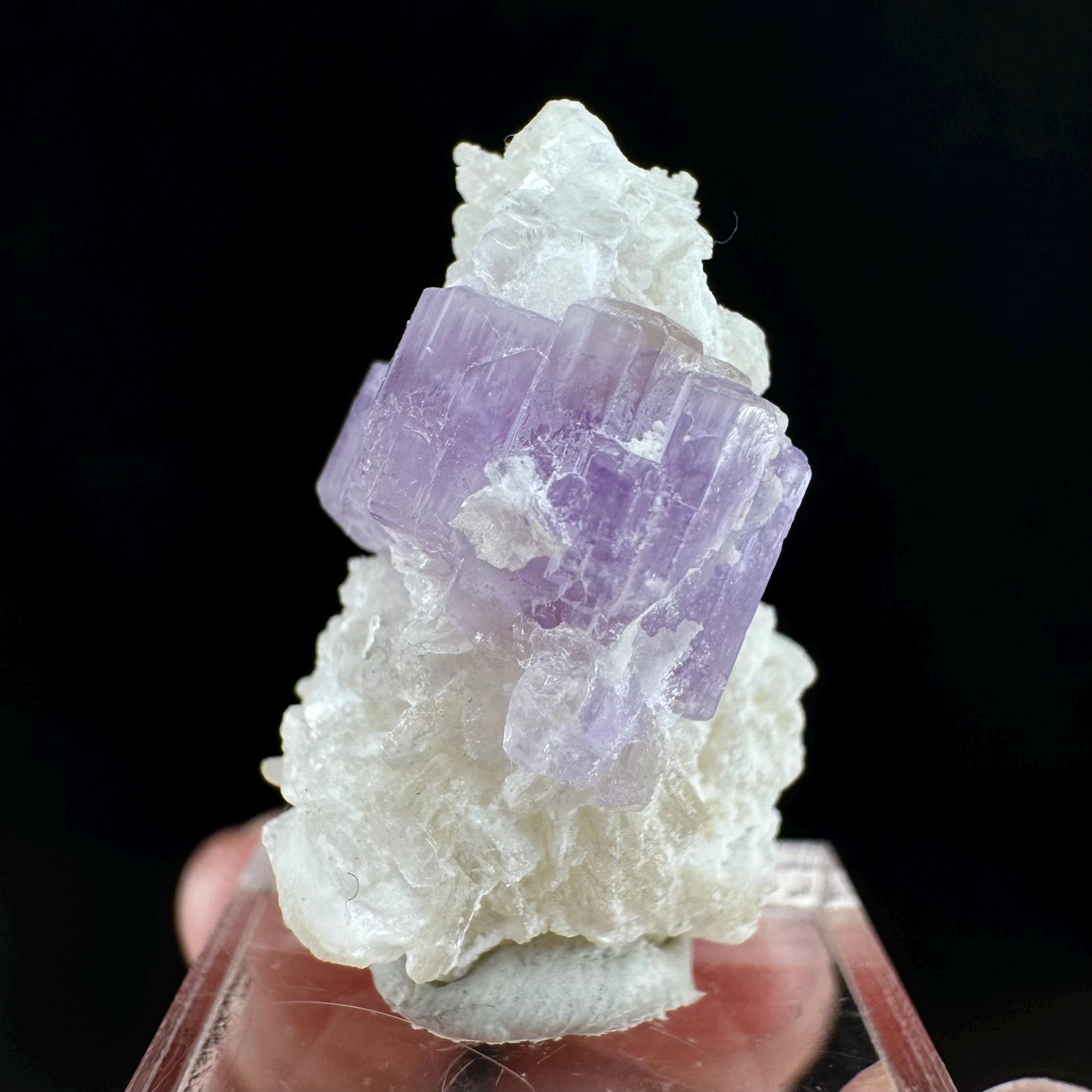 Purple Fluorapatite w/ Albite (Afghanistan) | fluorapatite crystal, natural purple apatite, mineral specimen