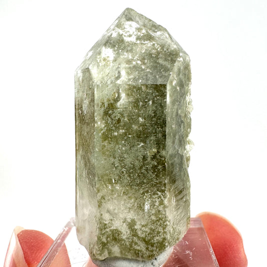 Chlorite Quartz (Pakistan) | green phantom quartz crystal, green chlorite quartz, mineral specimen