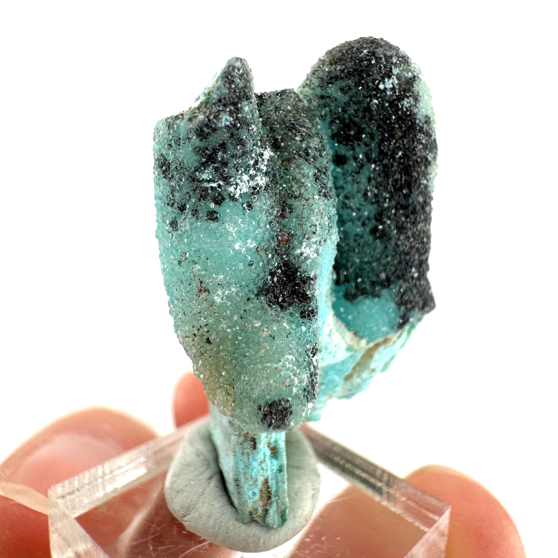 Chrysocolla Pseudomorph after Azurite (DR Congo) | blue chrysocolla crystal, mineral specimen