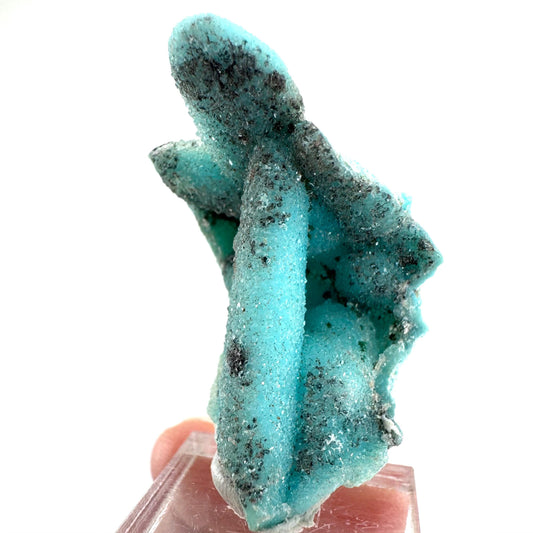 Chrysocolla Pseudomorph after Azurite (DR Congo) | blue chrysocolla crystal, mineral specimen