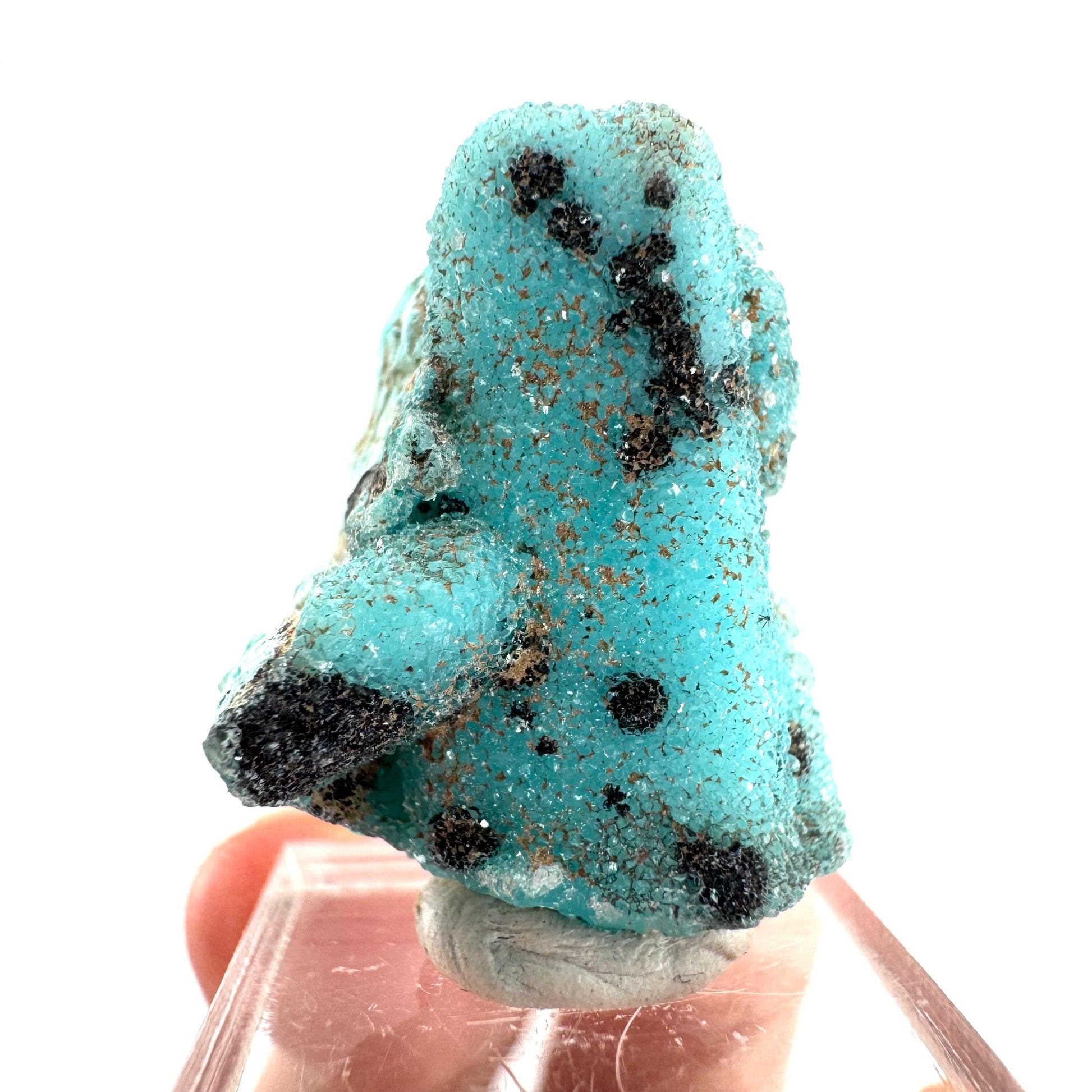 Chrysocolla Pseudomorph after Azurite (DR Congo) | blue chrysocolla crystal, mineral specimen