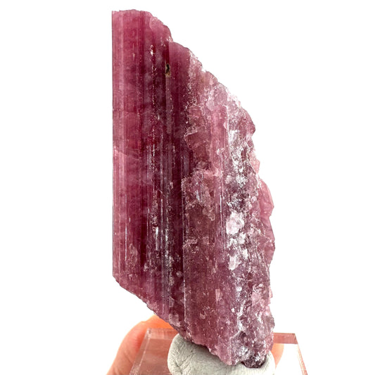 Rossmanite (Tanco Mine, Canada) | pink tourmaline crystal, rare minerals