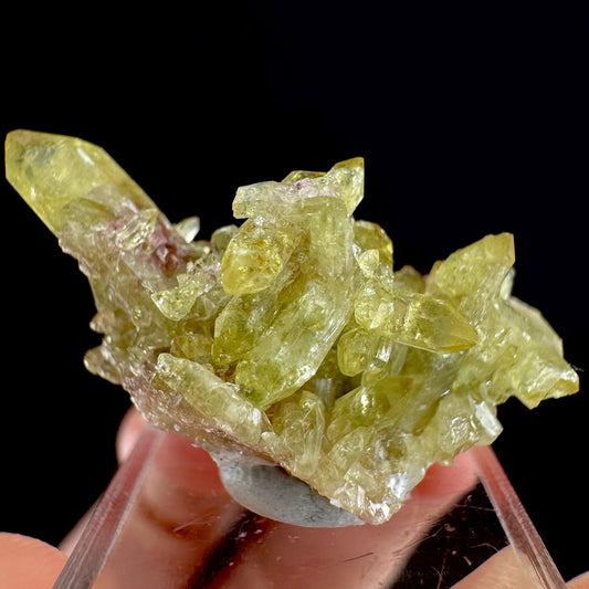Vesuvianite (Canada) | green vesuvianite crystal, mineral specimen, rare crystals