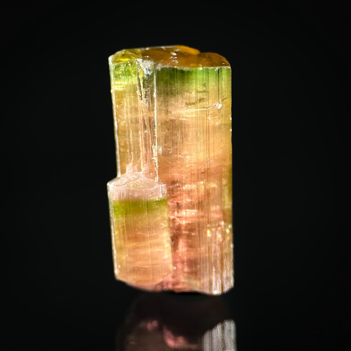 Elbaite Tourmaline (Afghanistan) | natural bi color tourmaline crystal