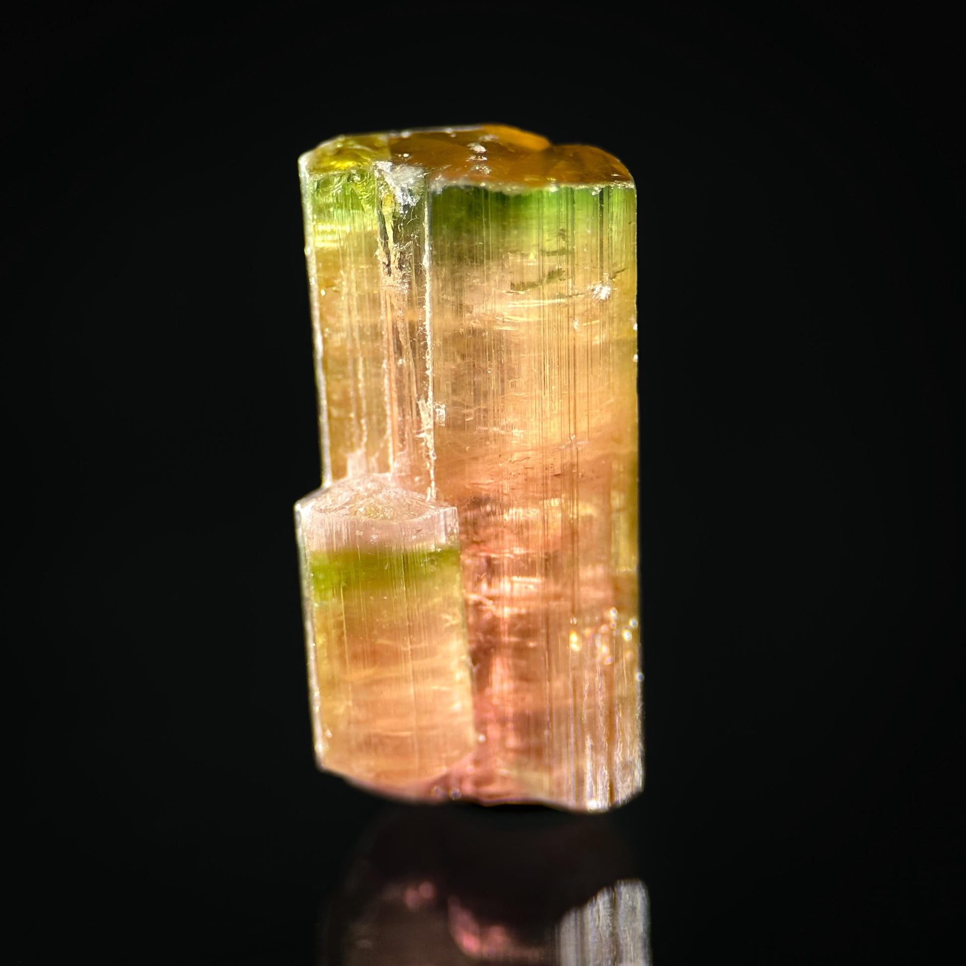 Elbaite Tourmaline (Afghanistan) | natural bi color tourmaline crystal