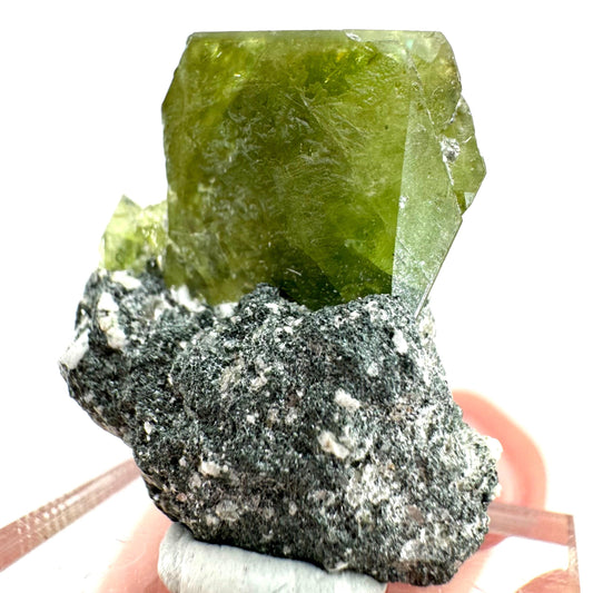 Titanite with Chlorite on Matrix (Pakistan) | sphene titanite, titanite crystal, sphene crystal, rare minerals