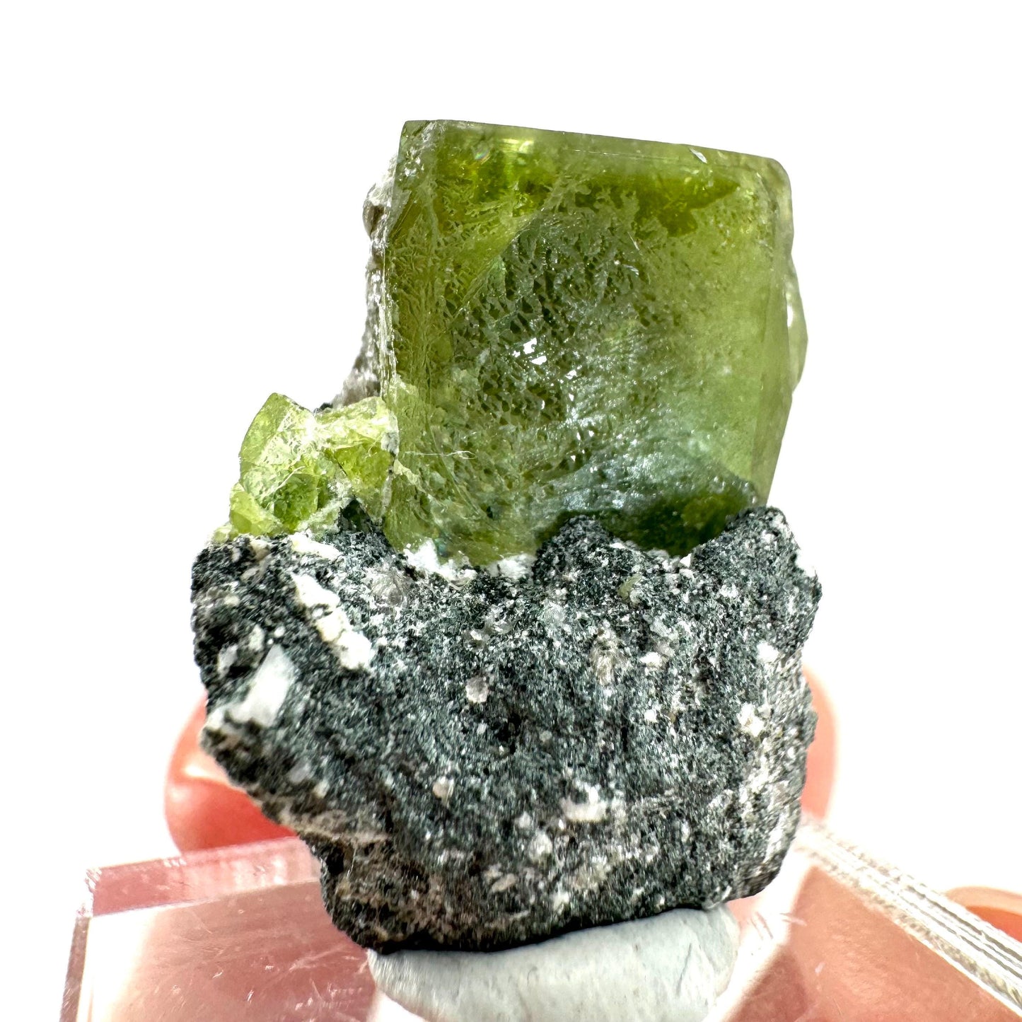 Titanite with Chlorite on Matrix (Pakistan) | sphene titanite, titanite crystal, sphene crystal, rare minerals