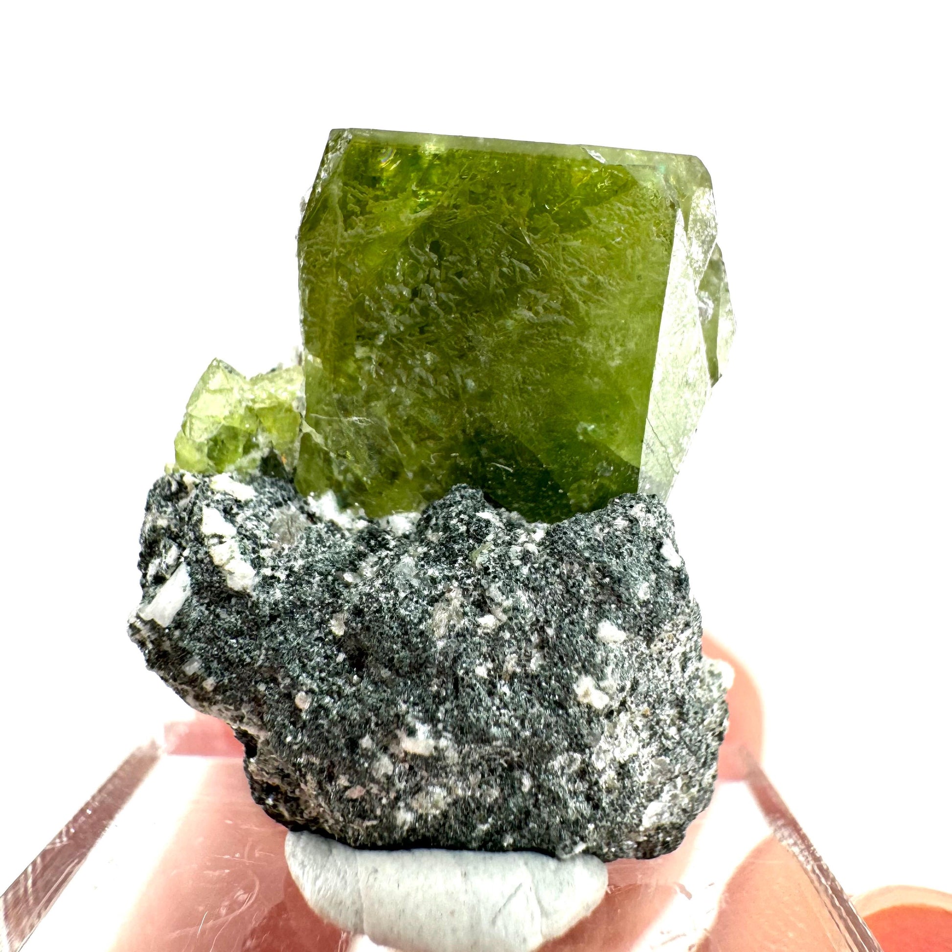 Titanite with Chlorite on Matrix (Pakistan) | sphene titanite, titanite crystal, sphene crystal, rare minerals
