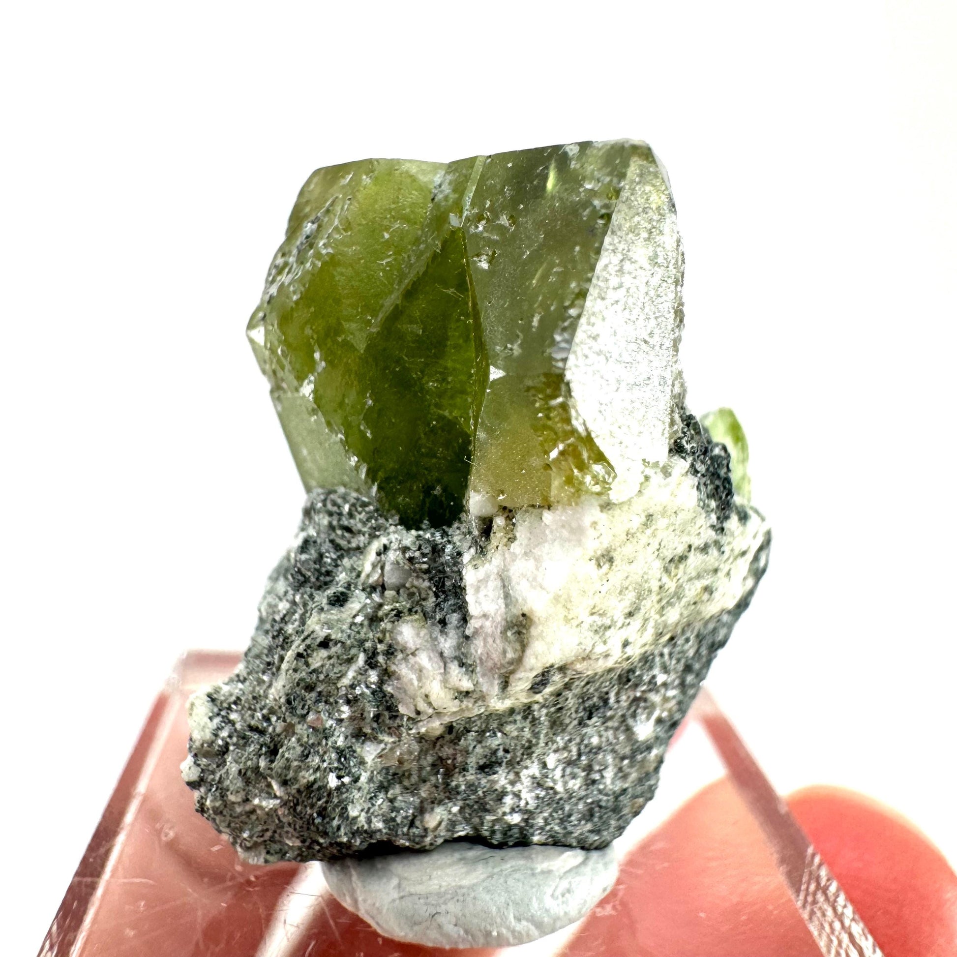 Titanite with Chlorite on Matrix (Pakistan) | sphene titanite, titanite crystal, sphene crystal, rare minerals