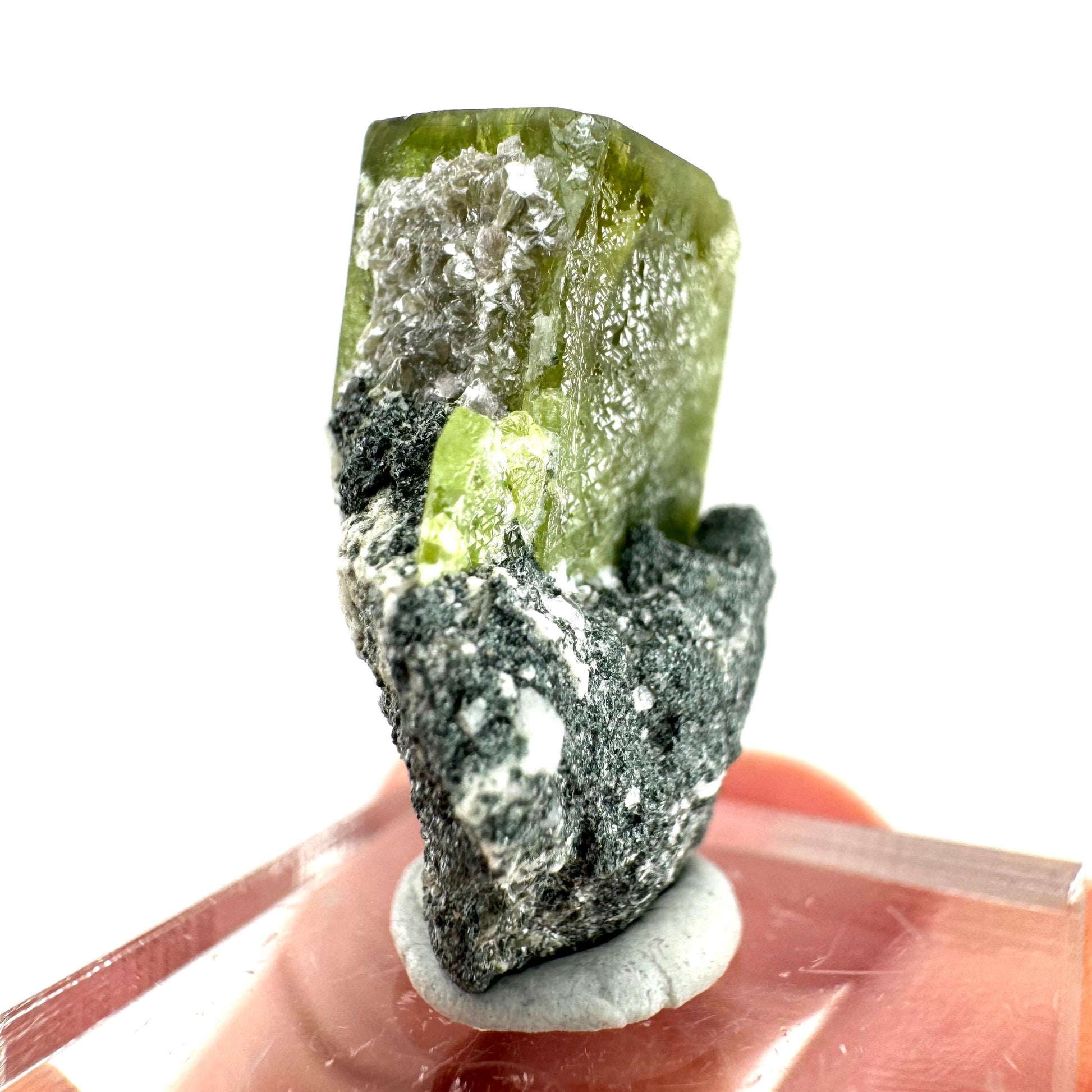 Titanite with Chlorite on Matrix (Pakistan) | sphene titanite, titanite crystal, sphene crystal, rare minerals