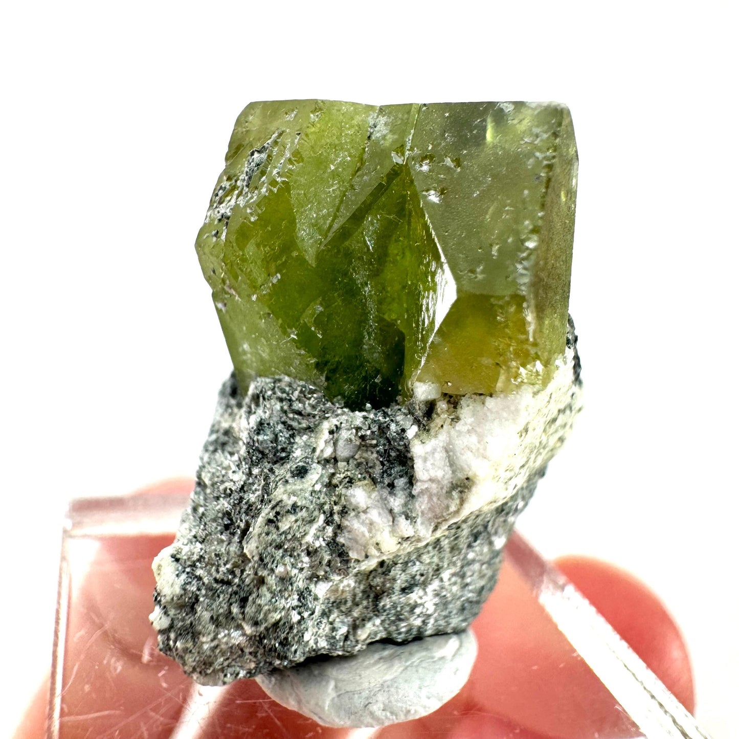 Titanite with Chlorite on Matrix (Pakistan) | sphene titanite, titanite crystal, sphene crystal, rare minerals