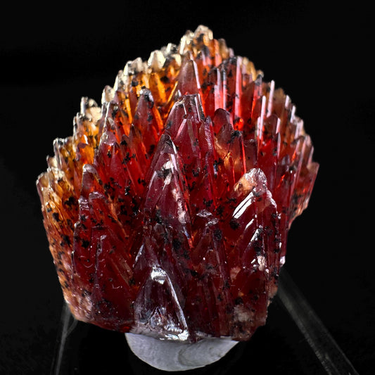 Rhodochrosite (South Africa) | natural rhodochrosite crystal, rare, mineral specimen