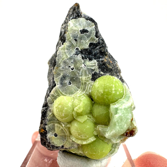 Wavellite (Arkansas, USA) | Wavellite crystal, wavellite cluster, mineral specimen, crystals