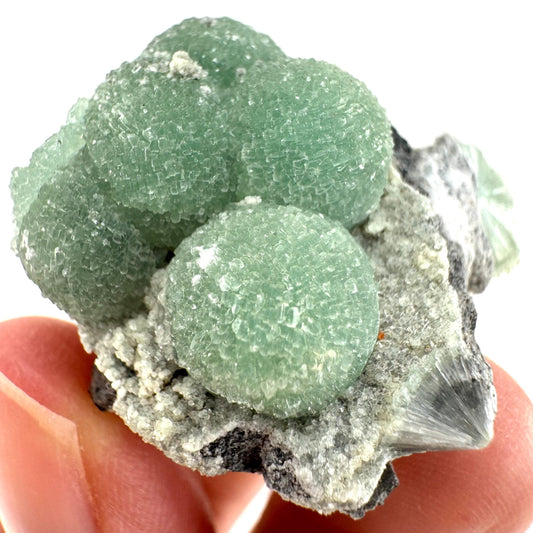 Wavellite (Arkansas, USA) | Wavellite crystal, wavellite cluster, mineral specimen, crystals