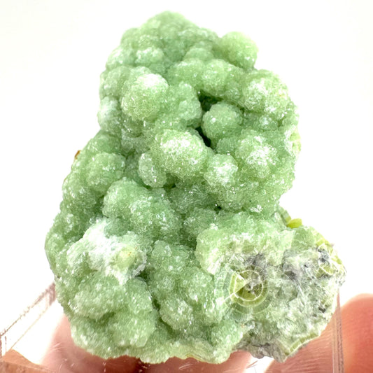 Wavellite (Arkansas, USA) | Wavellite crystal, wavellite cluster, mineral specimen, crystals