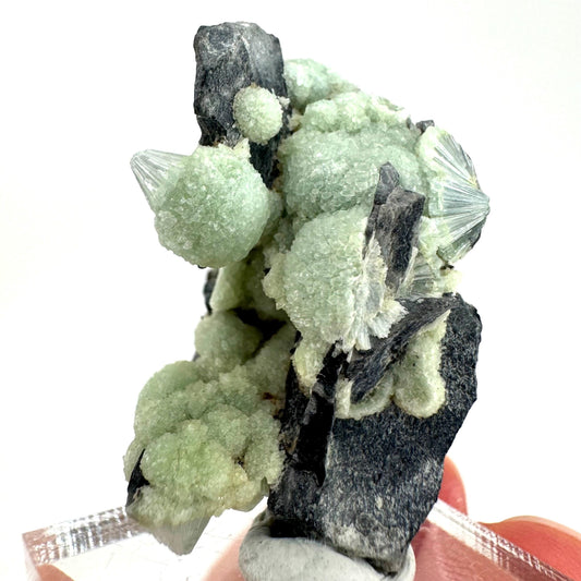 Wavellite (Arkansas, USA) | Wavellite crystal, wavellite cluster, mineral specimen, crystals