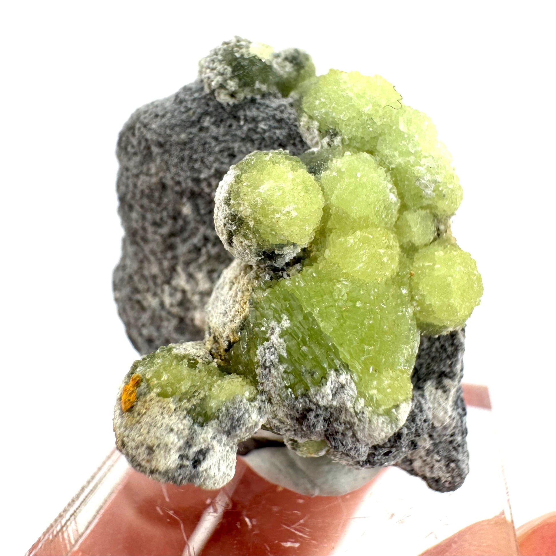 Wavellite (Arkansas, USA) | Wavellite crystal, wavellite cluster, mineral specimen, crystals