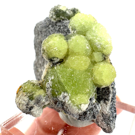 Wavellite (Arkansas, USA) | Wavellite crystal, wavellite cluster, mineral specimen, crystals