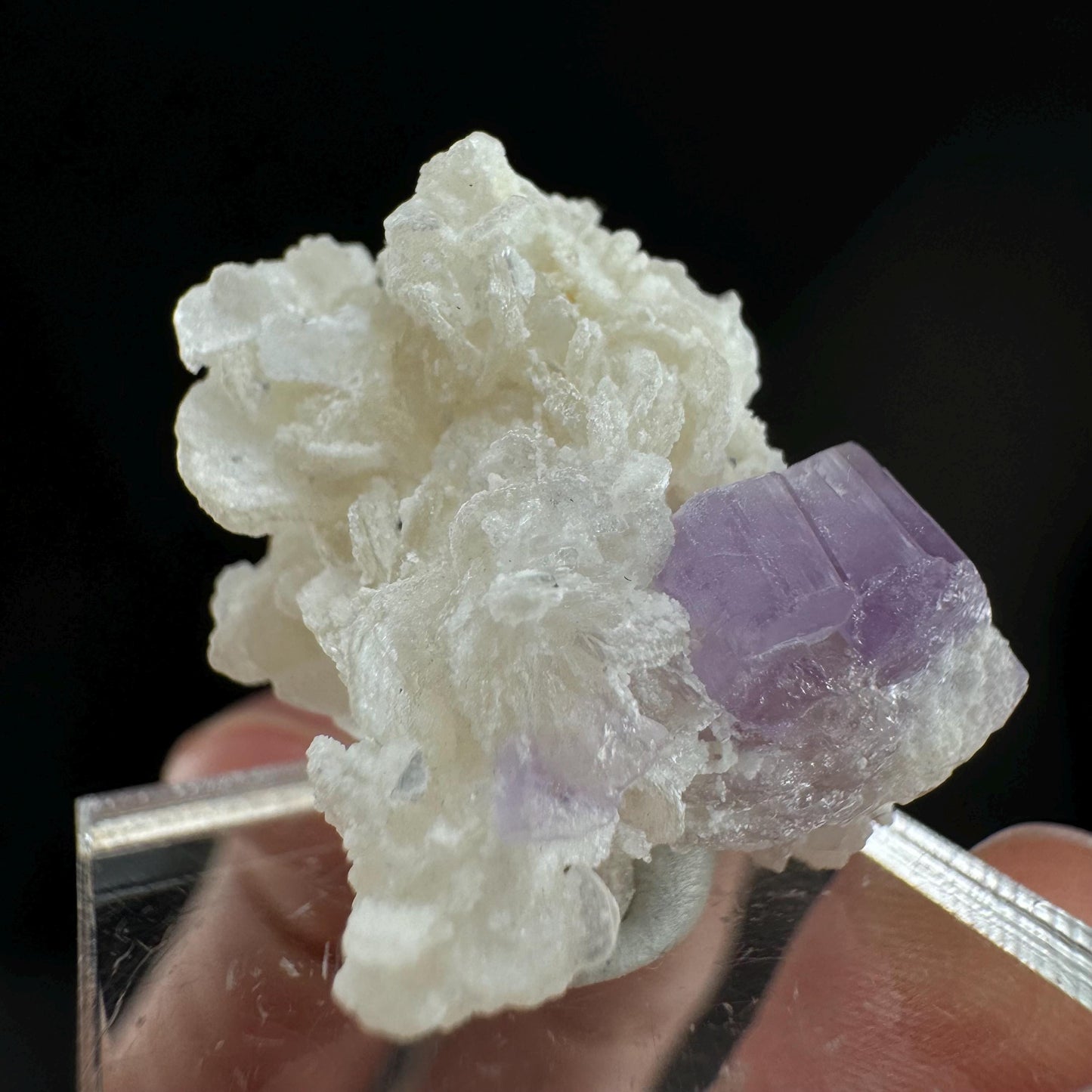 Purple Fluorapatite w/ Albite (Afghanistan) | fluorapatite crystal, natural purple apatite, mineral specimen