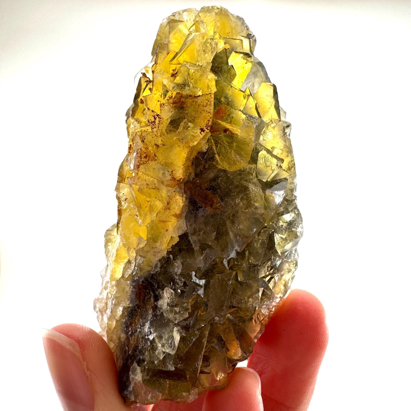 Okorusu Fluorite (Namibia) | “Honey Pocket” fluorite cluster, yellow fluorite crystal, mineral specimen