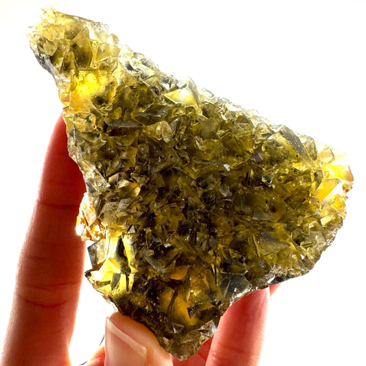 Okorusu Fluorite (Namibia) | “Honey Pocket” fluorite cluster, yellow fluorite crystal, mineral specimen