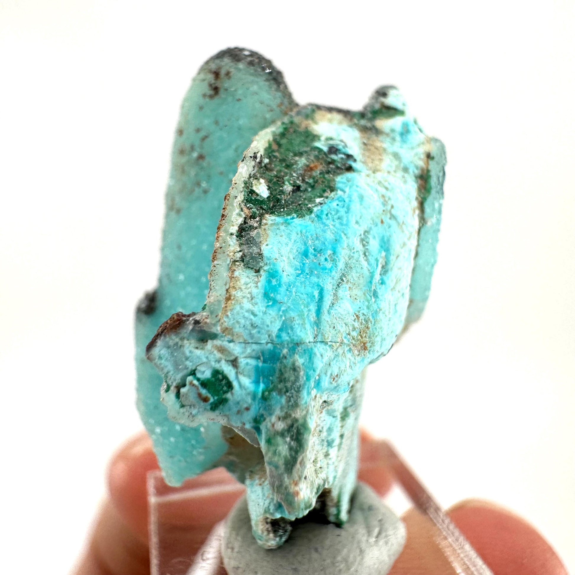 Chrysocolla Pseudomorph after Azurite (DR Congo) | blue chrysocolla crystal, mineral specimen