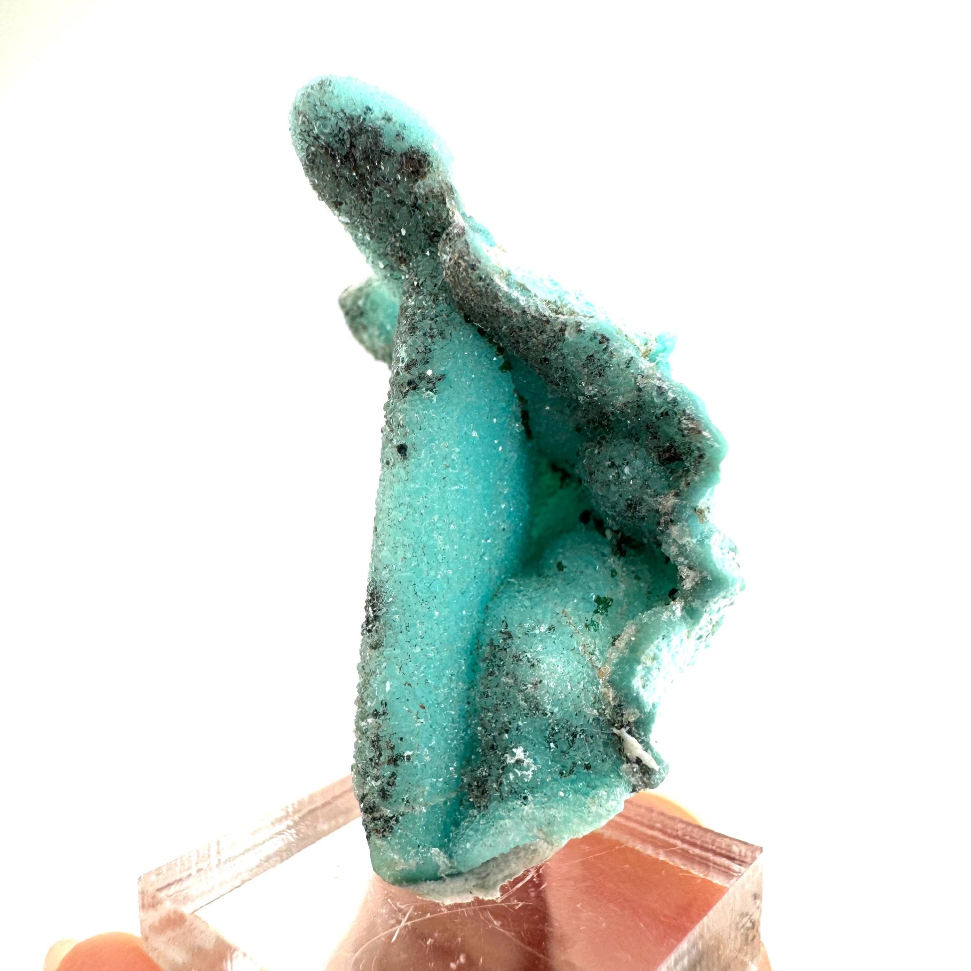 Chrysocolla Pseudomorph after Azurite (DR Congo) | blue chrysocolla crystal, mineral specimen