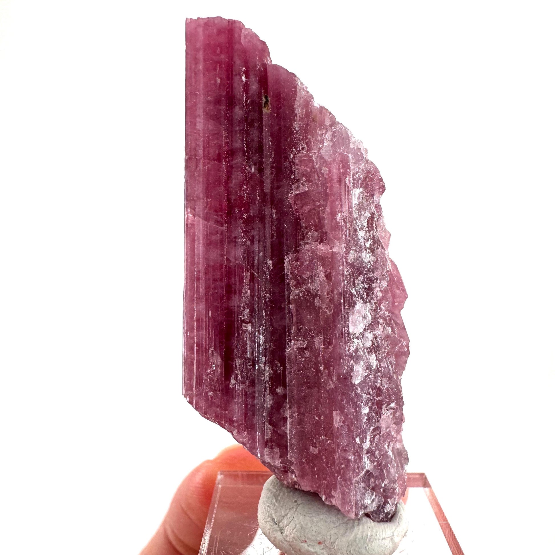 Rossmanite (Tanco Mine, Canada) | pink tourmaline crystal, rare minerals