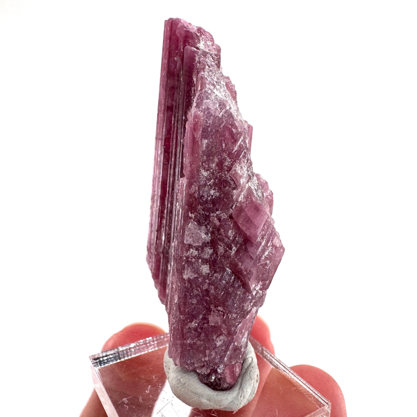 Rossmanite (Tanco Mine, Canada) | pink tourmaline crystal, rare minerals