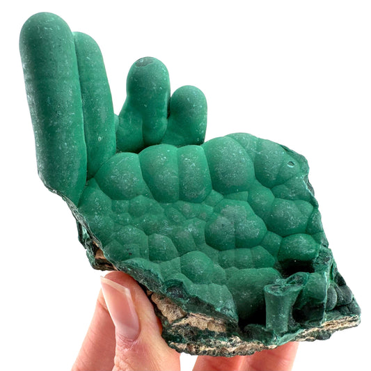Malachite Stalactite (DR Congo) | natural malachite crystal, mineral specimen